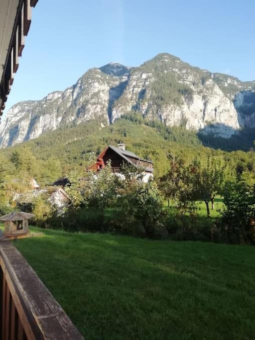 Apartma Traumblick Obertraun Apartment Bagian luar foto